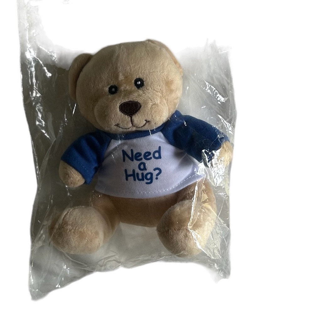 Need a Hug? 6 Inch Teddy Bear